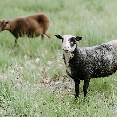 Vakantiehuis Tammiston Naantali
